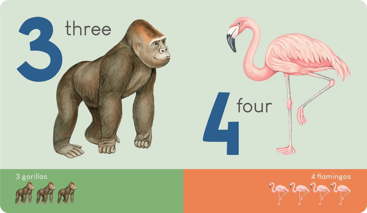 Kids Handle Board Book - Animal Numbers