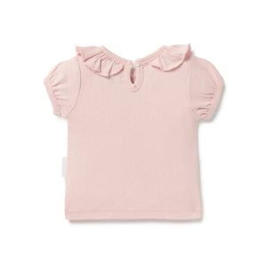 Aster and Oak Pointelle Ruffle Top - Pink