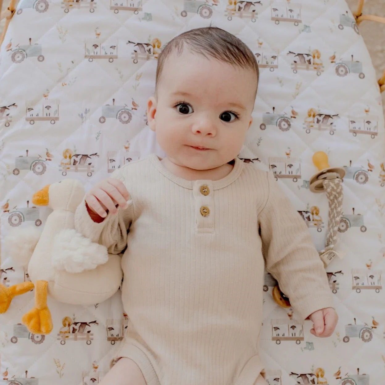 Bambella Waterproof Fitted Bassinet & Change Pad Cover - Oakwood Farm