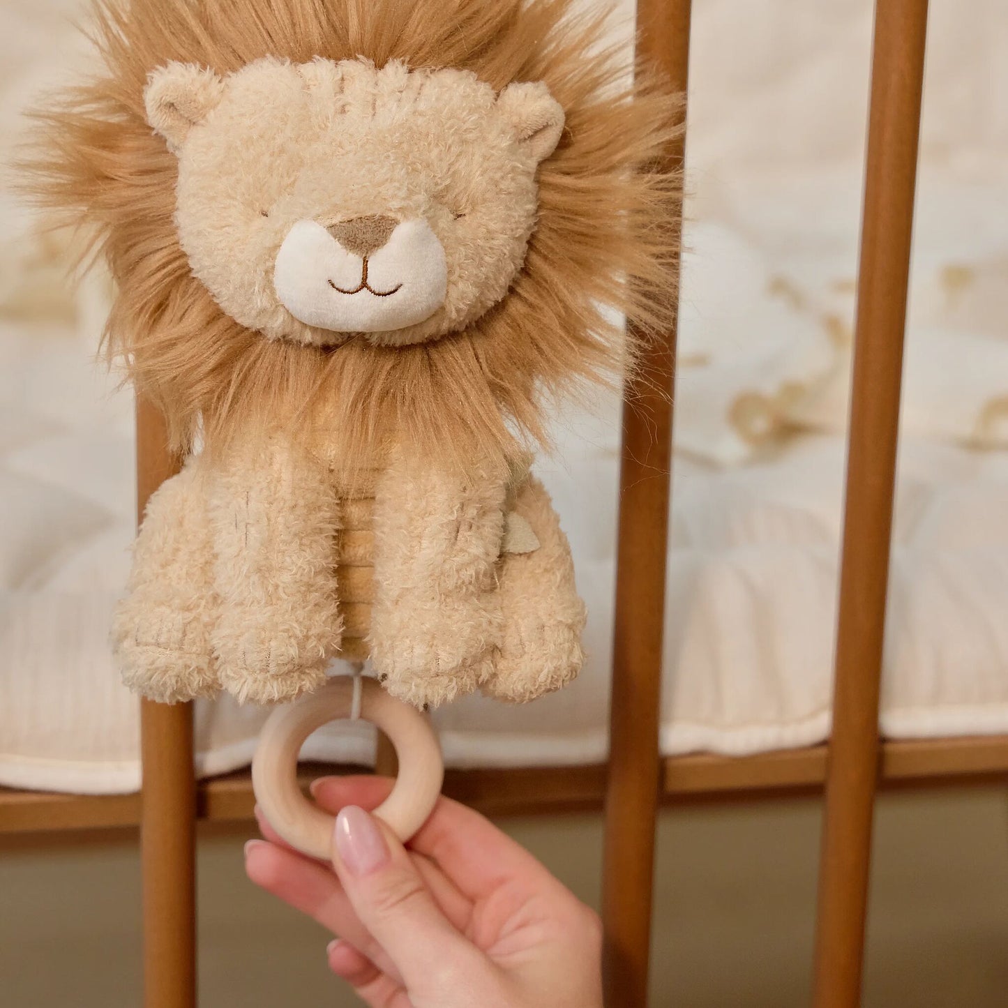 LITTLE DUTCH MUSIC BOX | LION