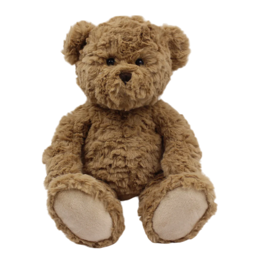 Brown teddy bear on a white background