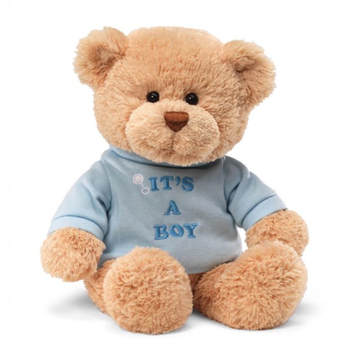 Teddy bear wearing a blue shirt with 'IT'S A BOY' text on a white background