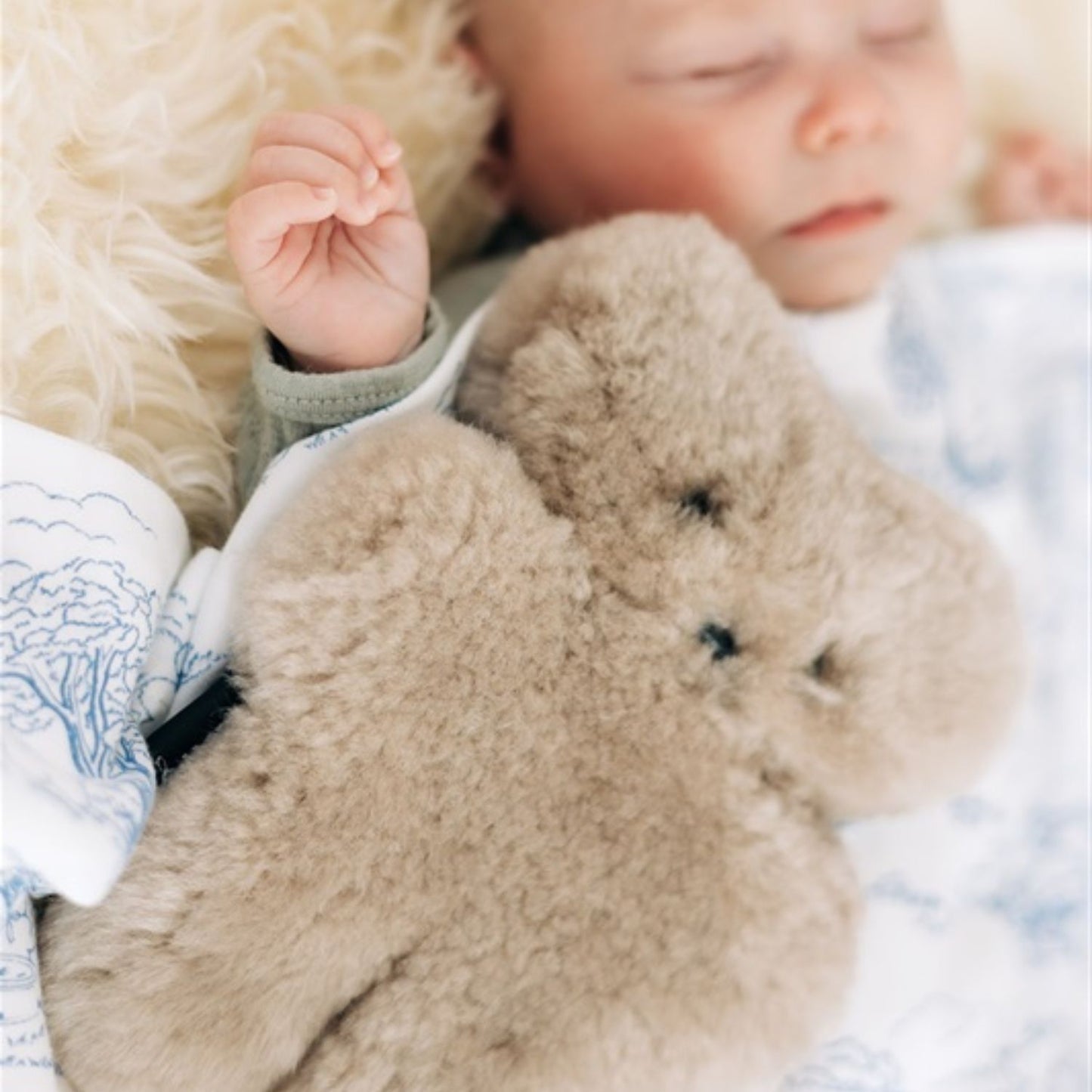 FLATOUT BEAR BABY | LATTE