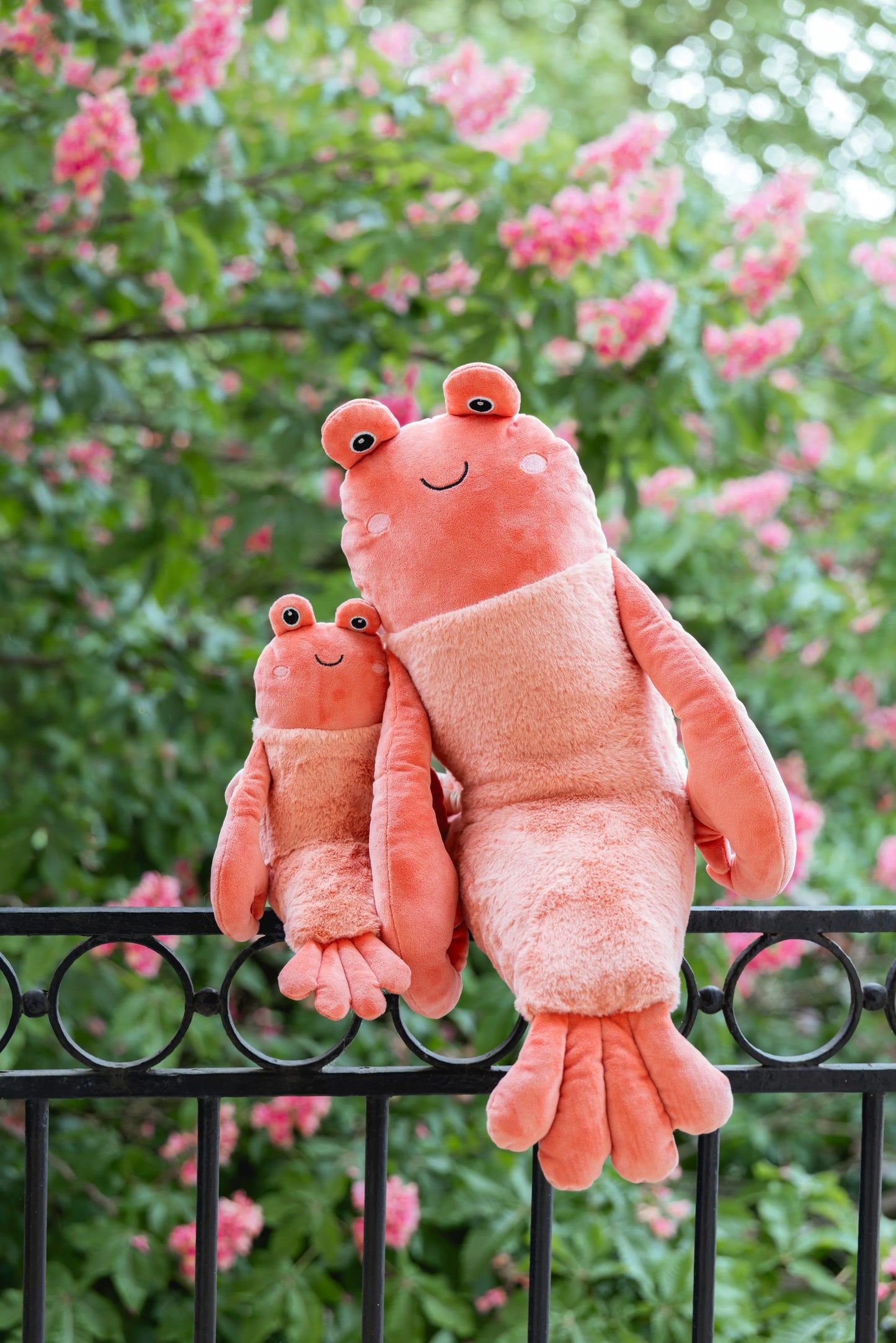 NANA HUCHY | CRAIG CRAYFISH