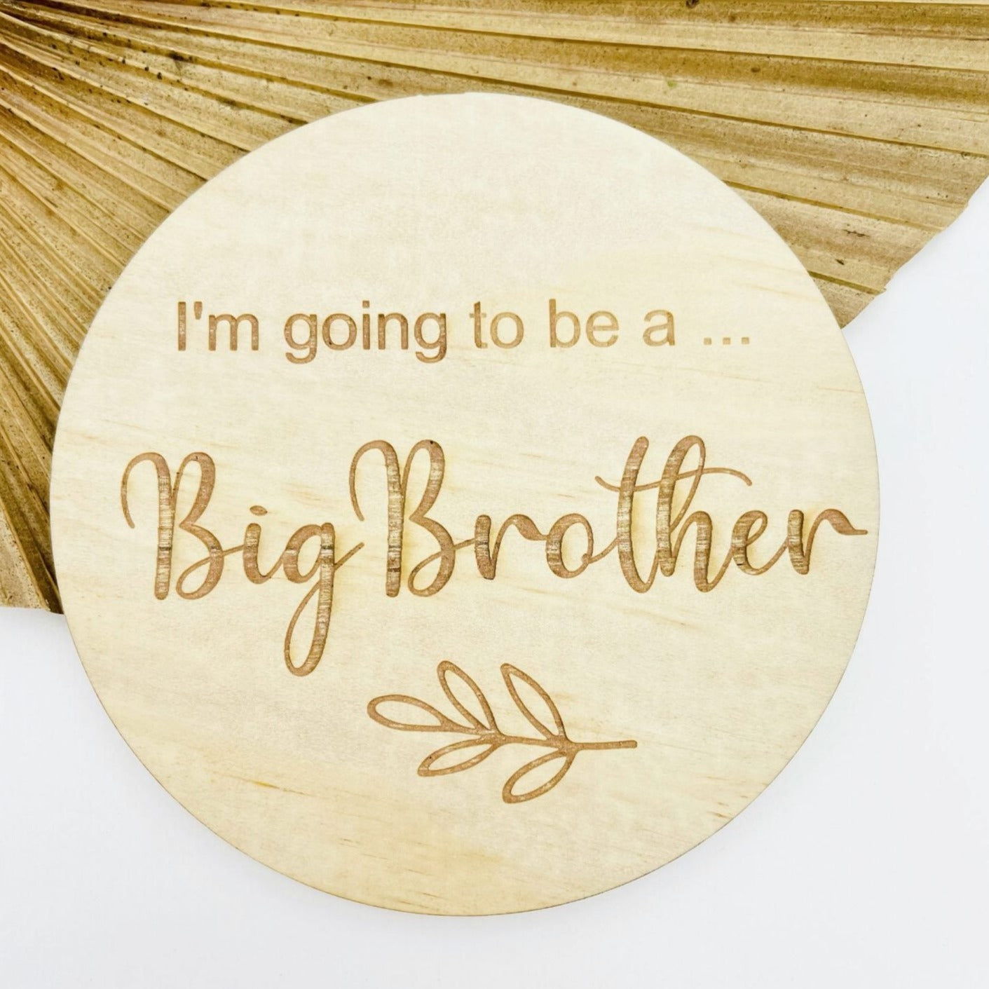 big brother announcement disc - angus and dudley