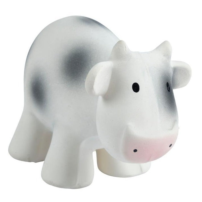 tirkiri cow - angus and dudley