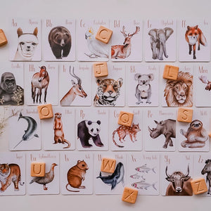 Modern Monty Flash Cards | Animal Alphabet