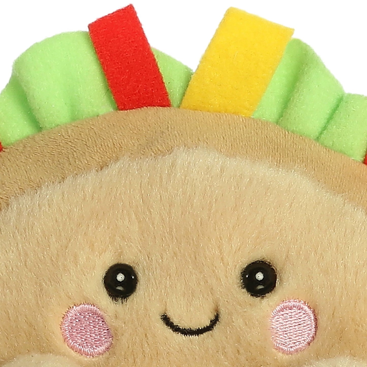 PALM PAL | TACO