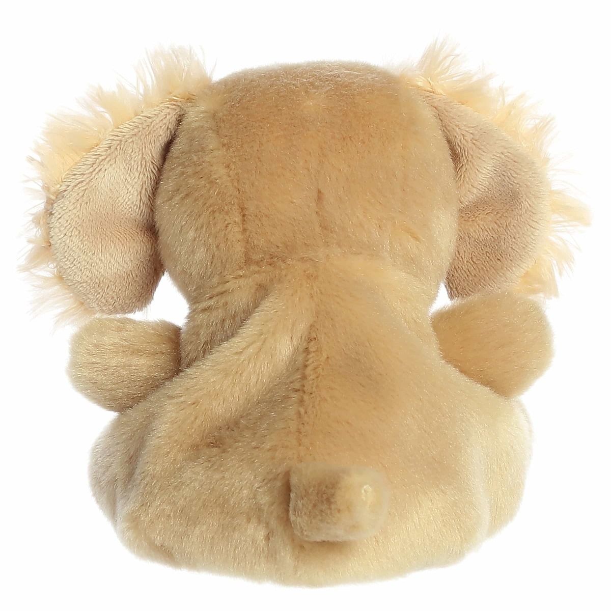 PALM PAL | GOLDENDOODLE