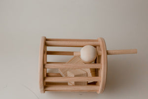 Wooden Shape Sorter Toy