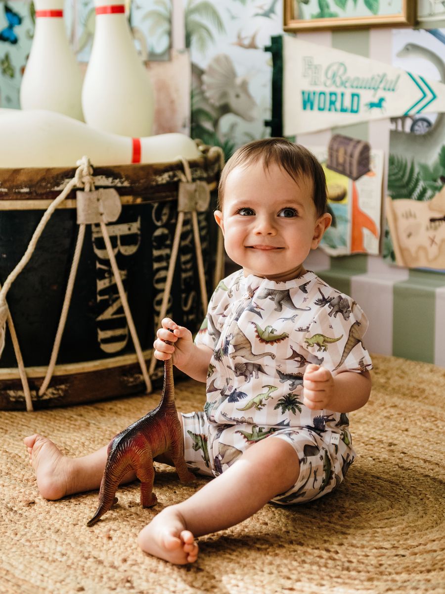 FLEUR HARRIS SHORTALL | PREHISTORICA