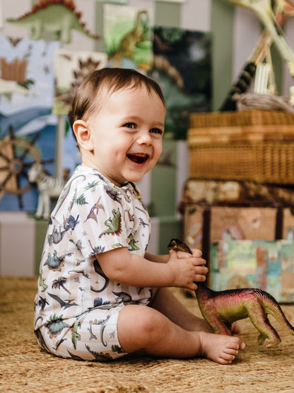 FLEUR HARRIS SHORTALL | PREHISTORICA