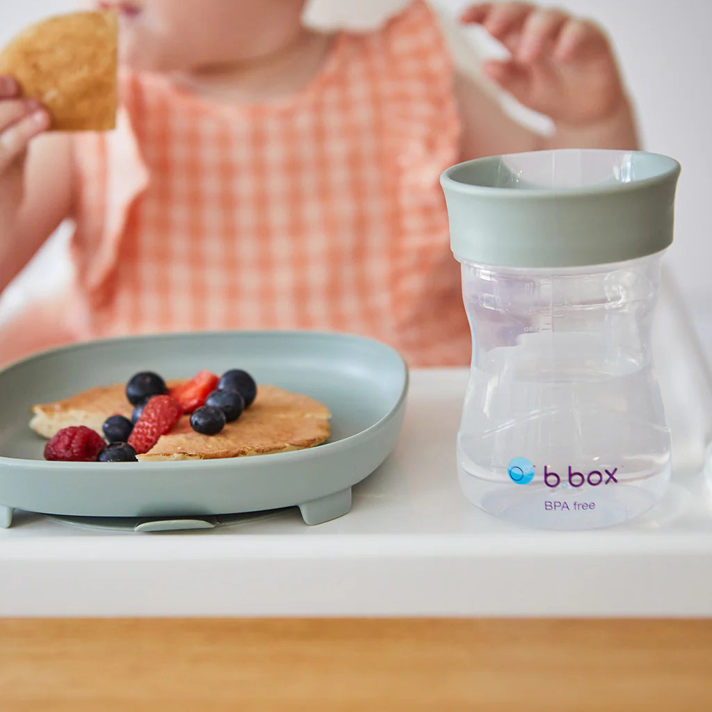 B BOX TRANSITION VALUE PACK | SAGE