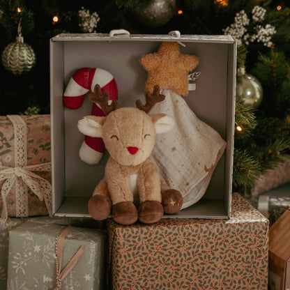 LITTLE DUTCH | CHRISTMAS NEWBORN GIFTSET