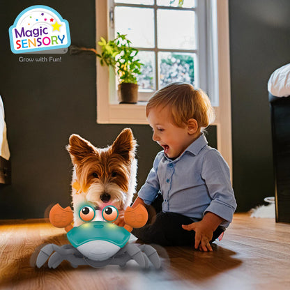 MAGIC SENSORY CRAWLING CRAB