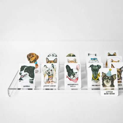 JOURNEY OF SOMETHING | GAME | GUESS THE DOGGY