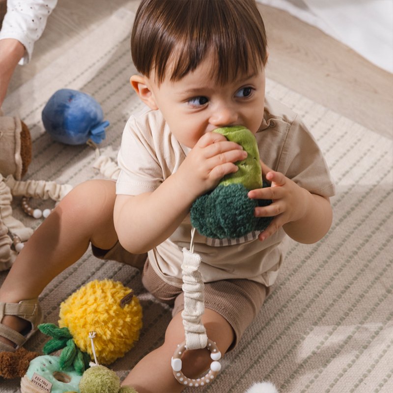 LIVING TEXTILES STROLLER TOYS 2 PACK | BROCCOLI AND TOMATO