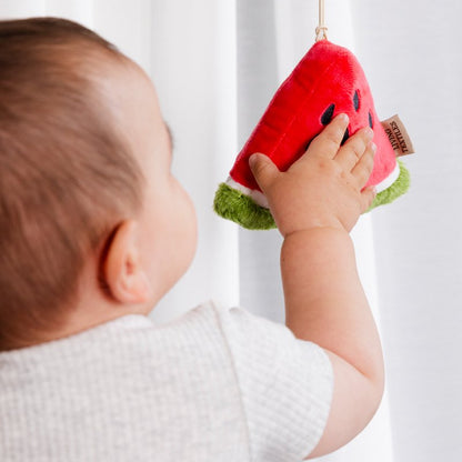 LIVING TEXTILES STROLLER TOYS 2 PACK | WATERMELON AND BLUEBERRY