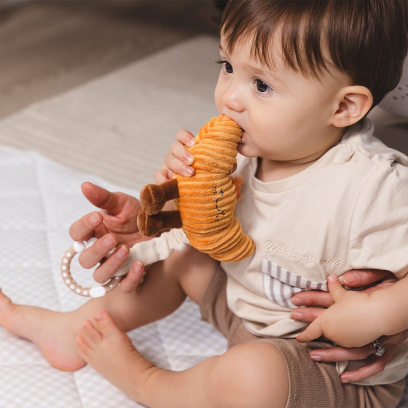 LIVING TEXTILES STROLLER TOYS 2 PACK | COFFEE AND CROISSANT