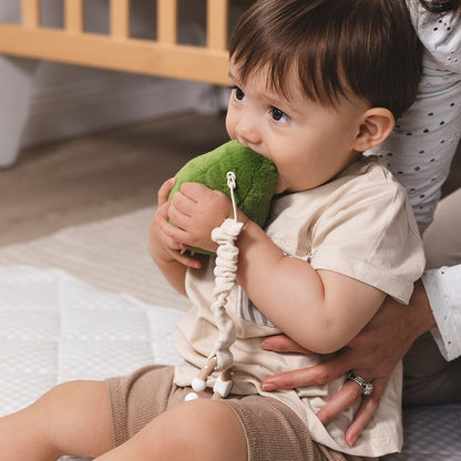 LIVING TEXTILES STROLLER TOYS 2 PACK | AVOCADO AND EGG ON TOAST
