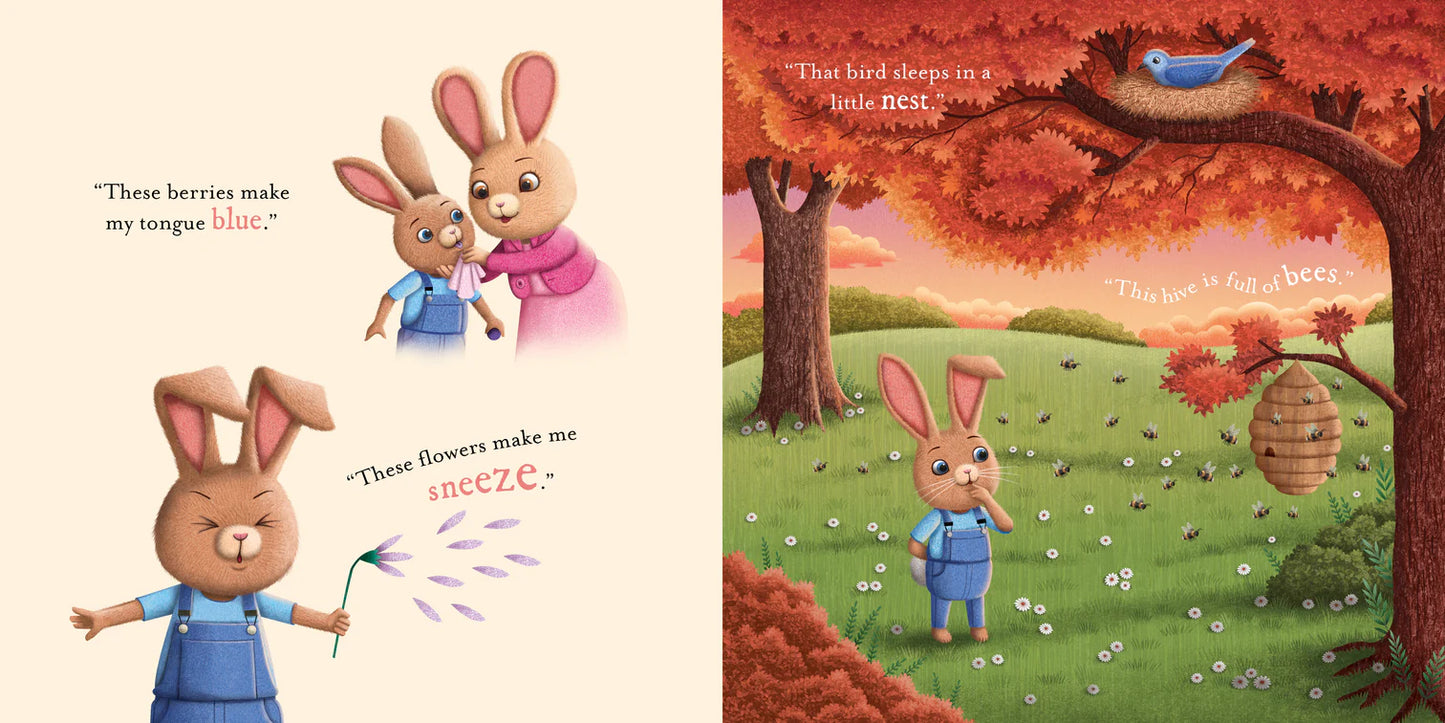 Kids Board Book - Do You Know How Much I Love You? - Angus & Dudley Collections