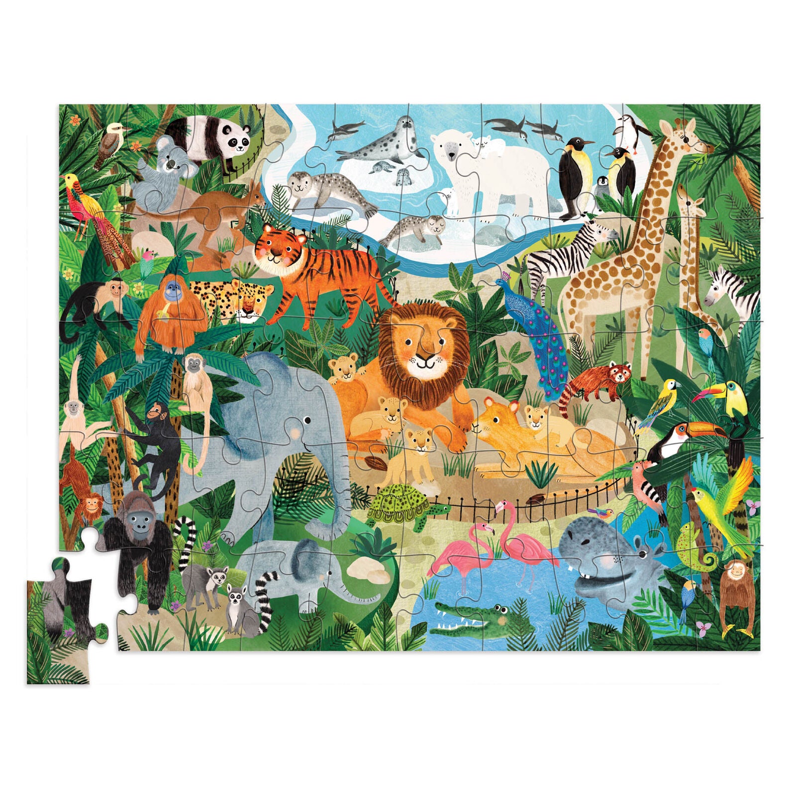 CROCODILE CREEK FLAT HOUSE PUZZLE 50 PIECE | ZOO - Angus & Dudley Collections