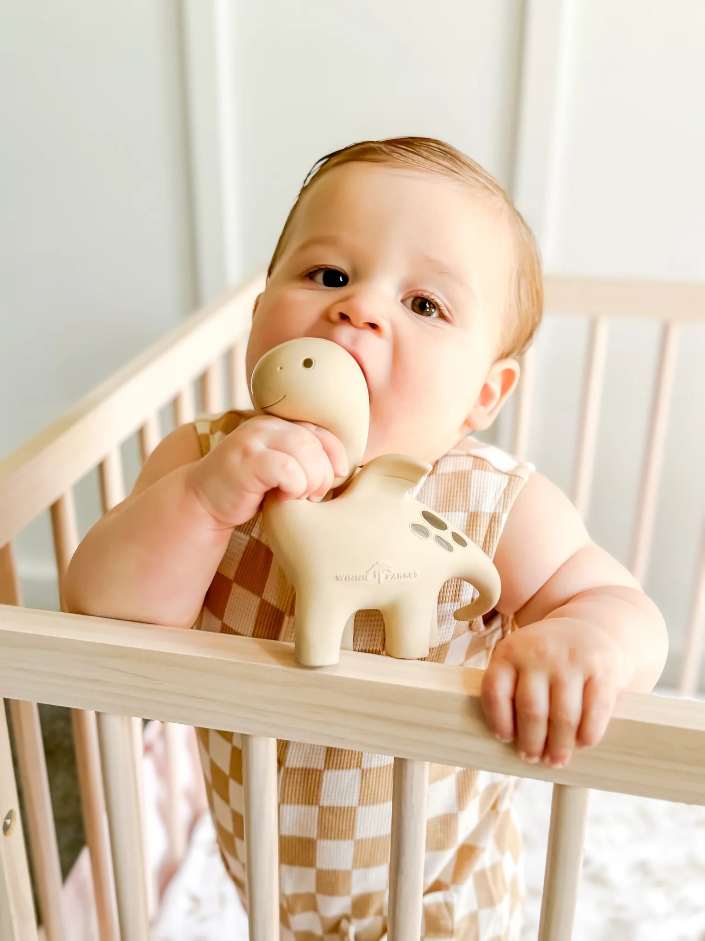 Winnie Parkes Diplo Dino Dragon Teether - Sage