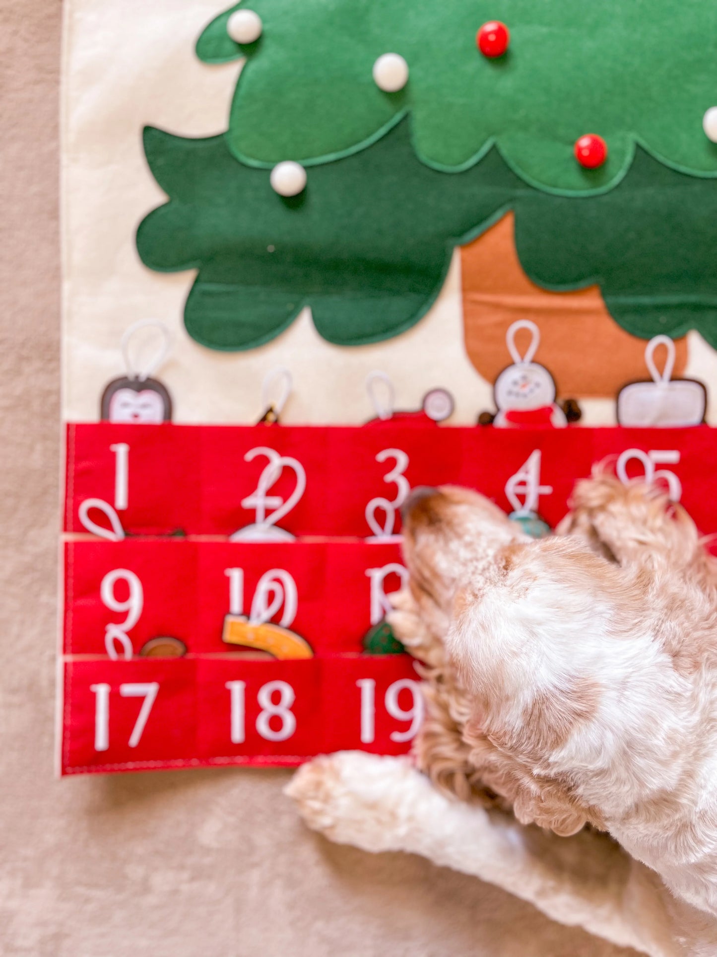 WONDERTIVITY | ADVENT CHRISTMAS CALENDAR