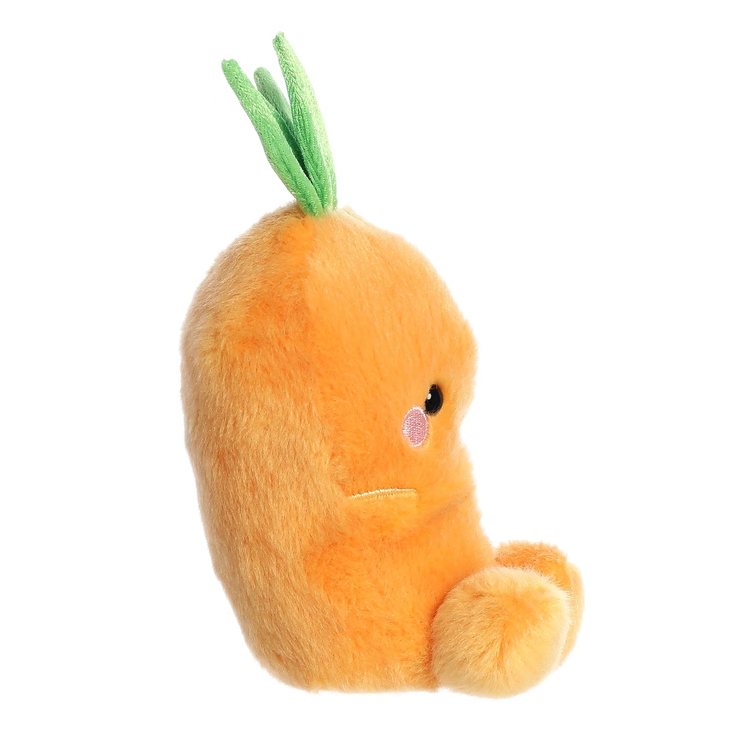 PALM PAL | CARROT