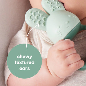 B Box Chill and Fill Teether - Sage