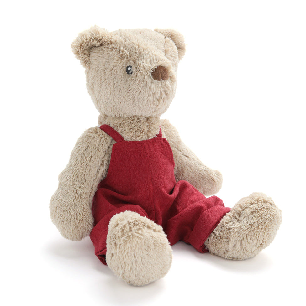 Stuffed teddy bear wearing red overalls on a white background