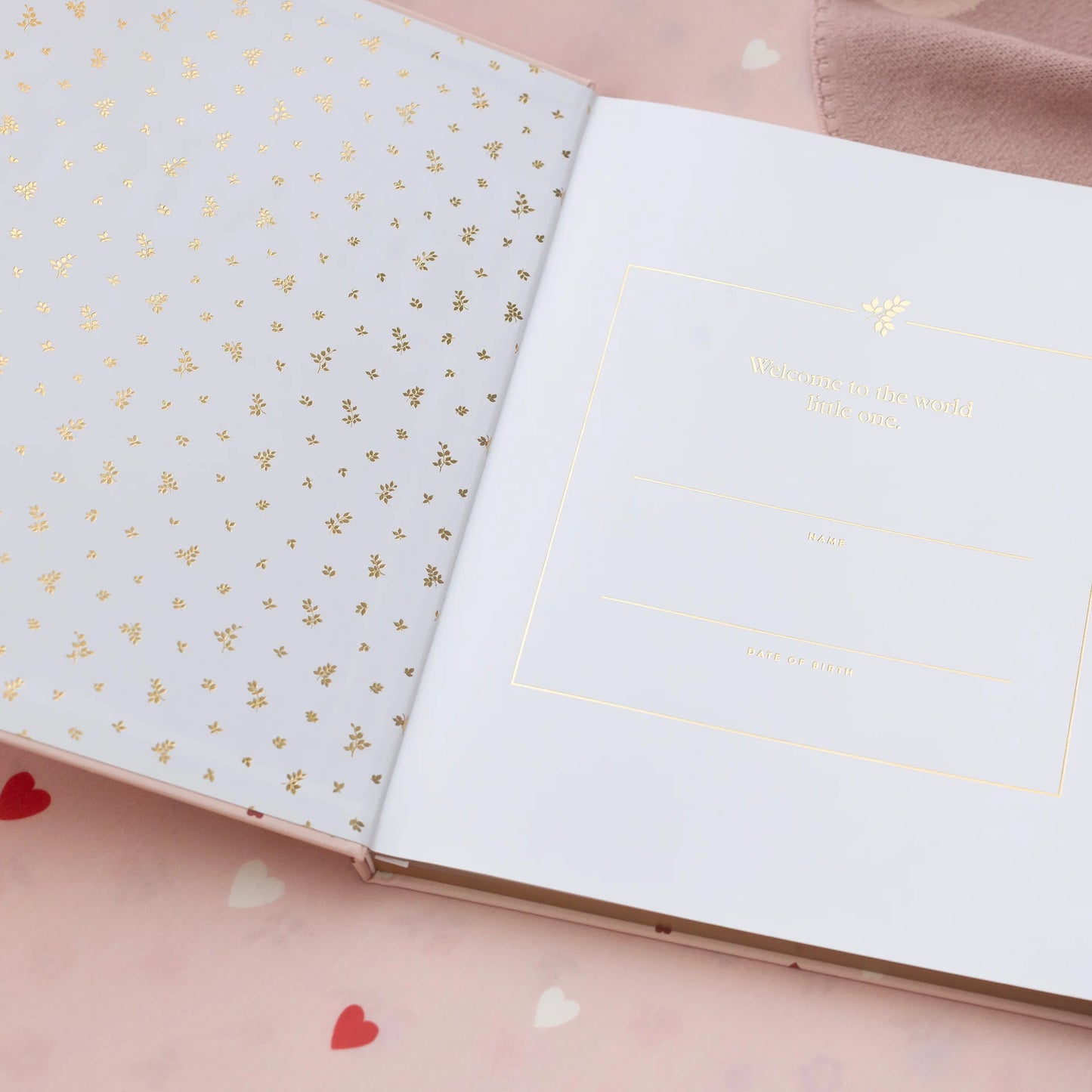 Fox and Fallow Baby Journal - Baby Book Breton Stripe