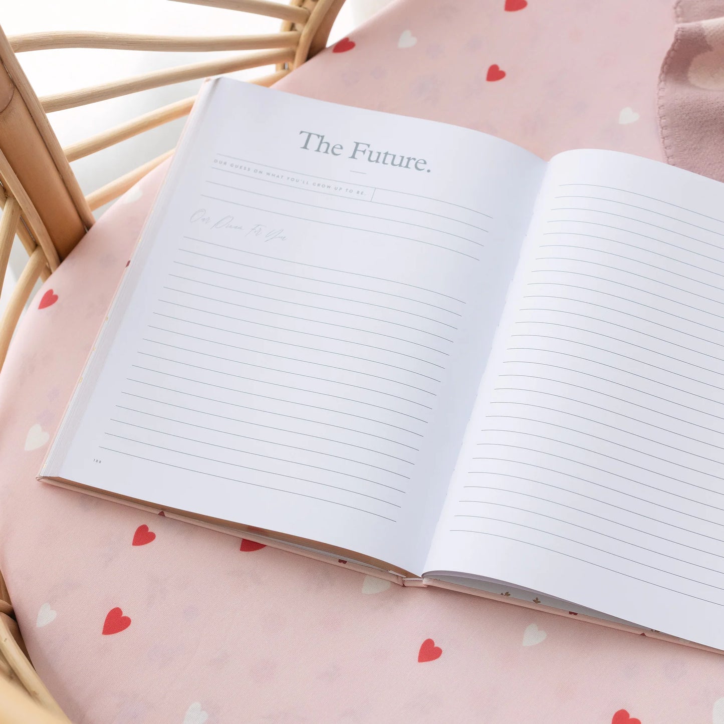 Fox and Fallow Baby Journal - Baby Book Breton Stripe