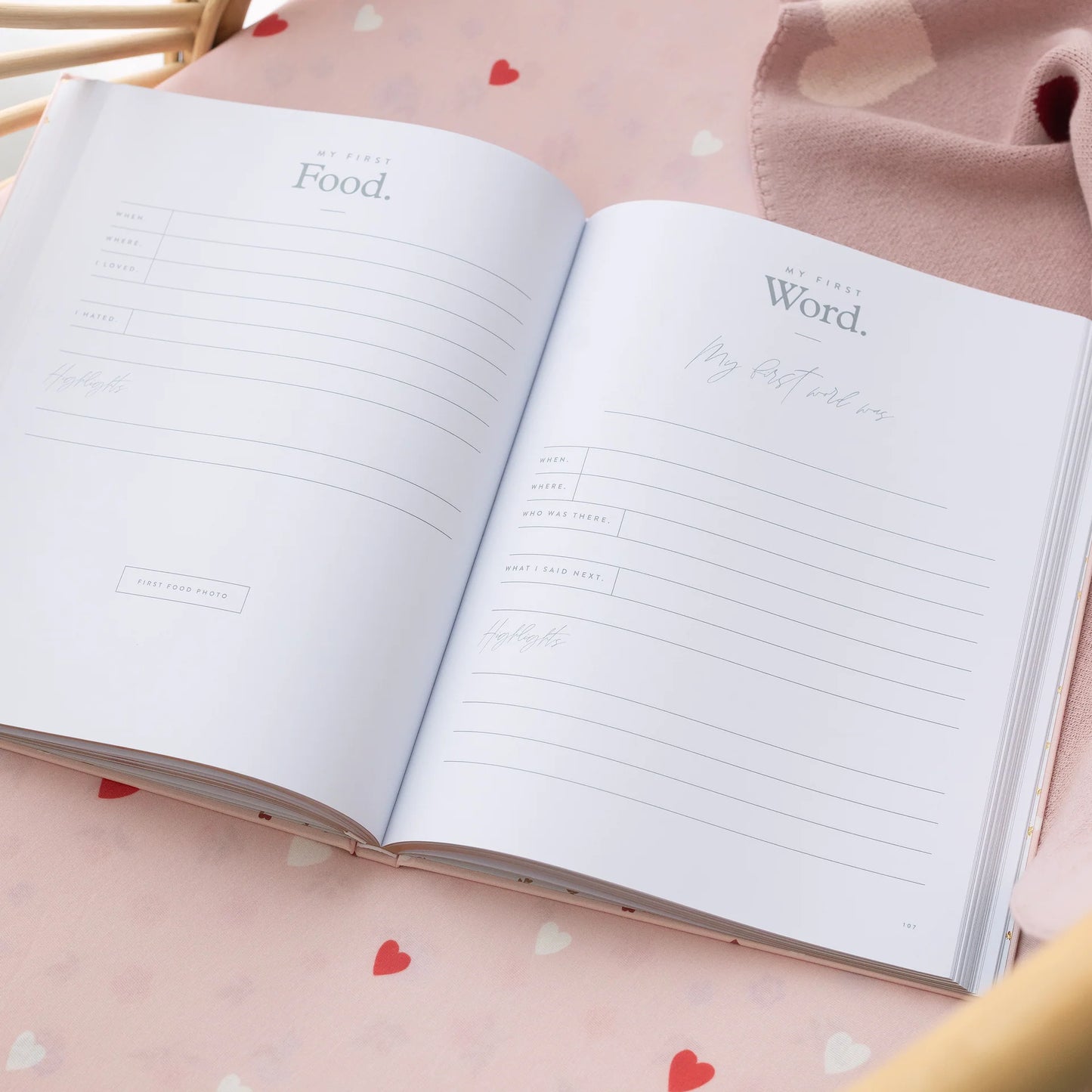 Fox and Fallow Baby Journal - Baby Book Breton Stripe