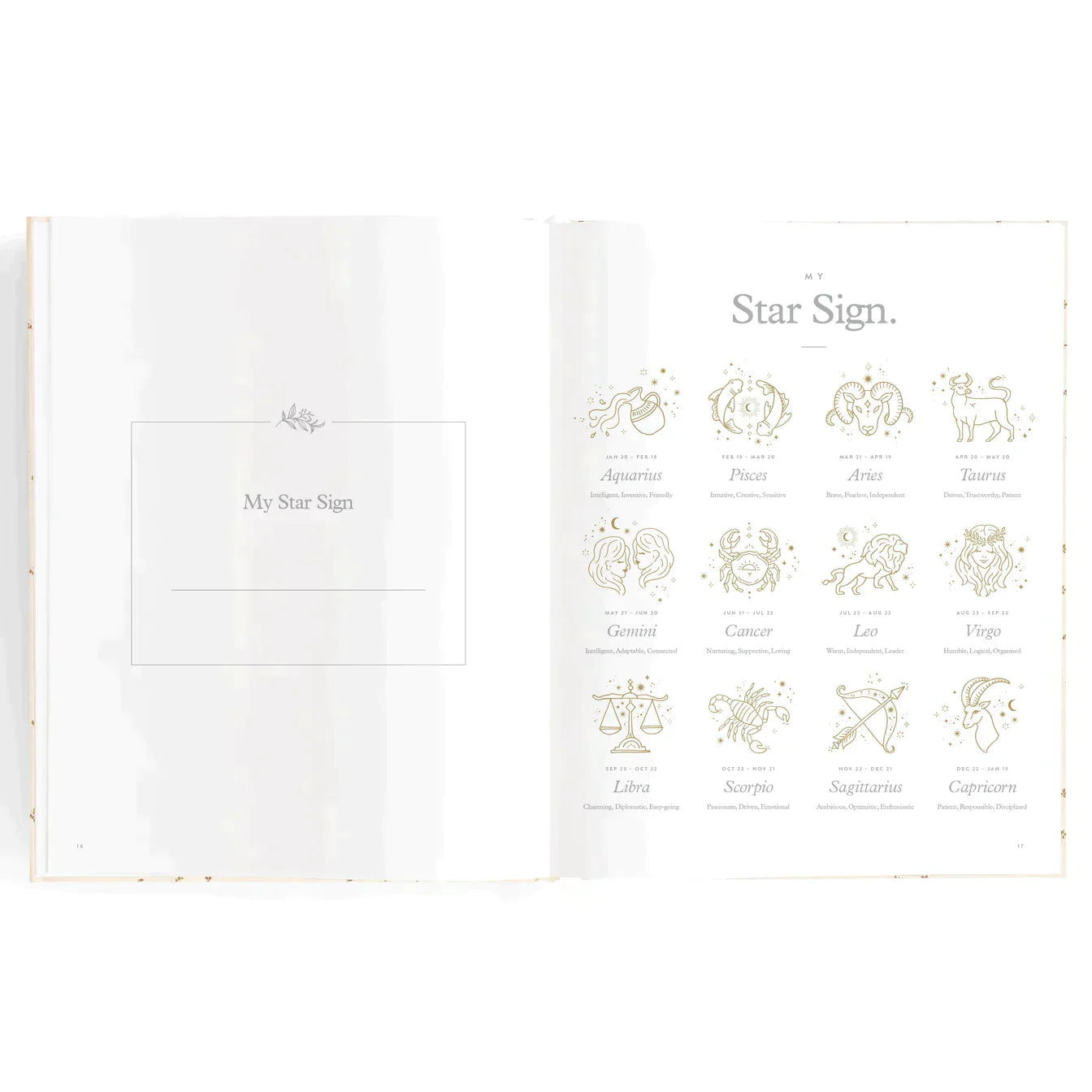 Fox and Fallow Mini Baby Journal - Sage