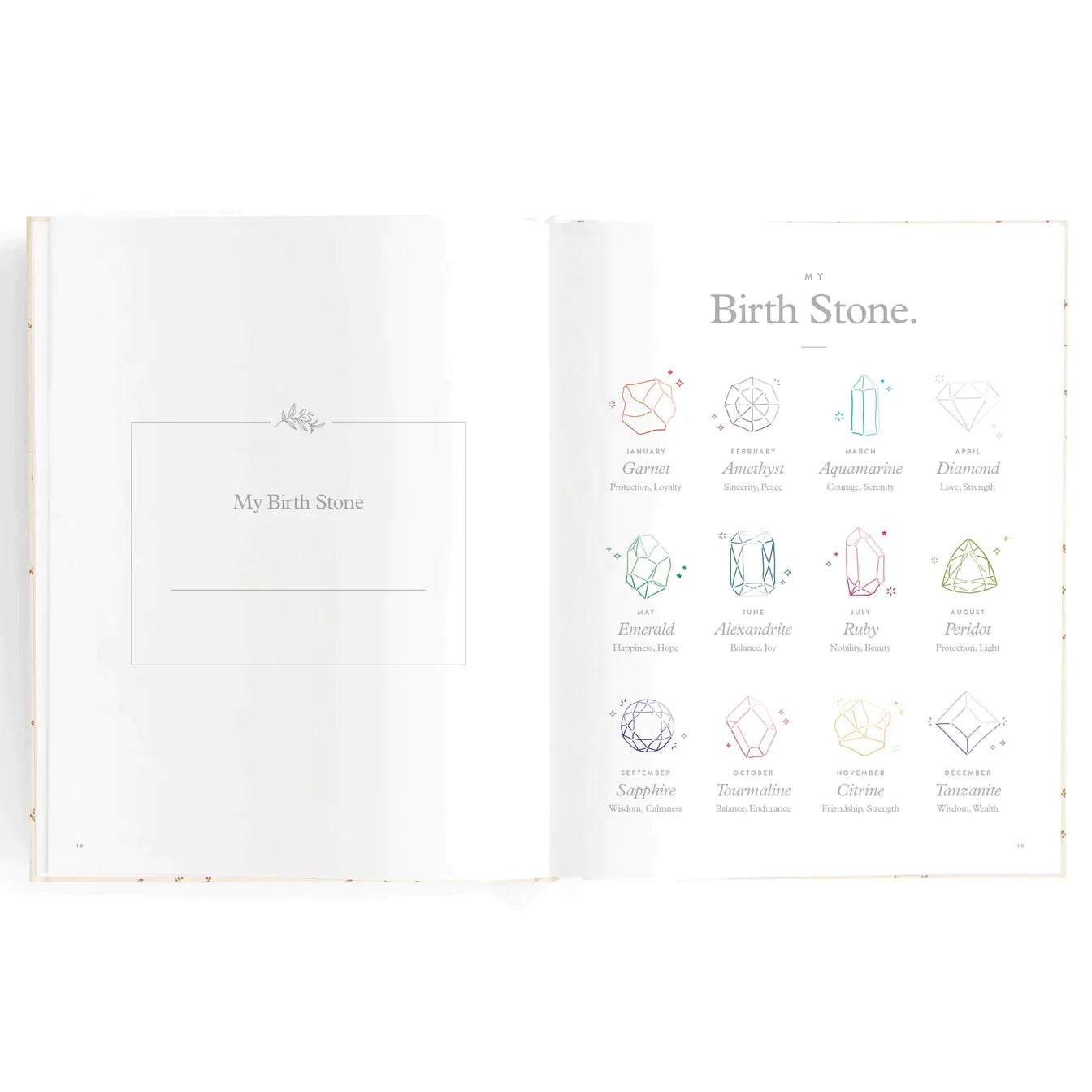 Fox and Fallow Baby Journal - Broderie