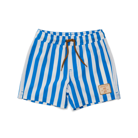 Blue and white striped shorts with a brand label on a white background