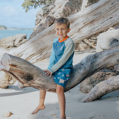 CRYWOLF LONG SLEEVE RASH VEST | OCEAN COLOUR BLOCK