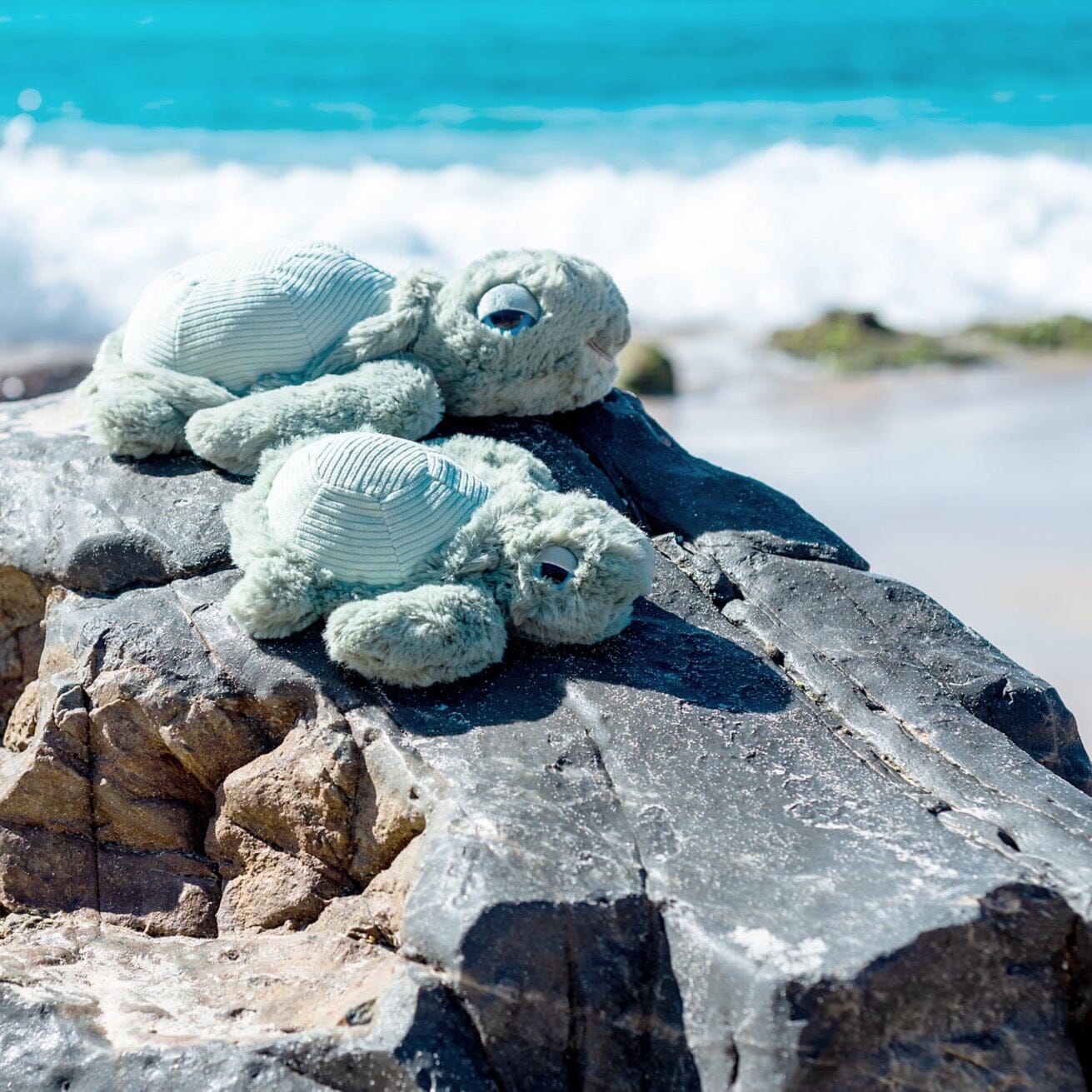 OB DESIGNS SOFT TOY | LITTLE TYLER TURTLE