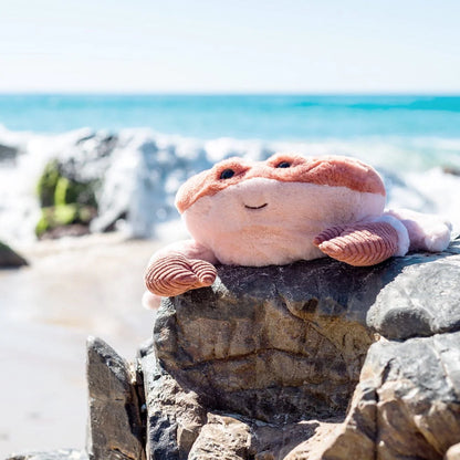 OB DESIGNS SOFT TOY | KENZO CRAB