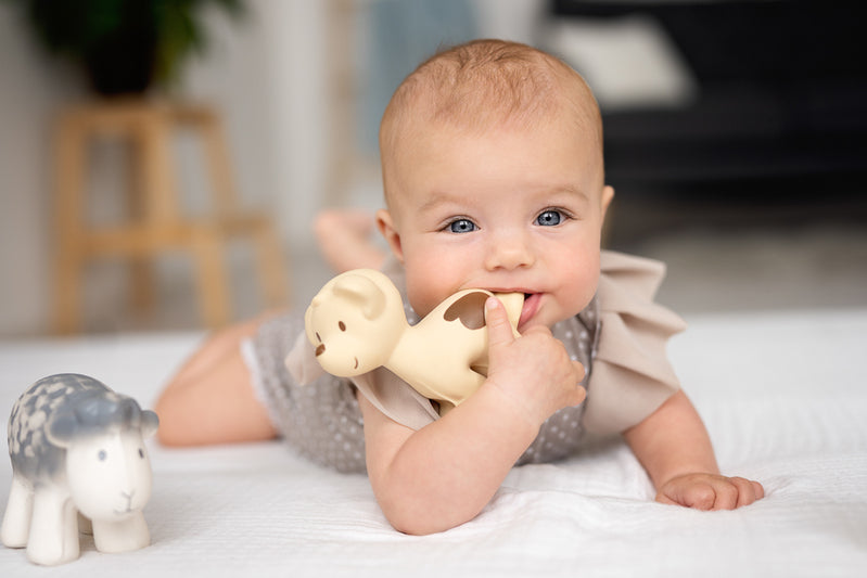 Tikiri Rattle Teether Bath Toy - Puppy