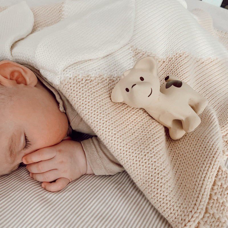 Tikiri Rattle Teether Bath Toy - Puppy