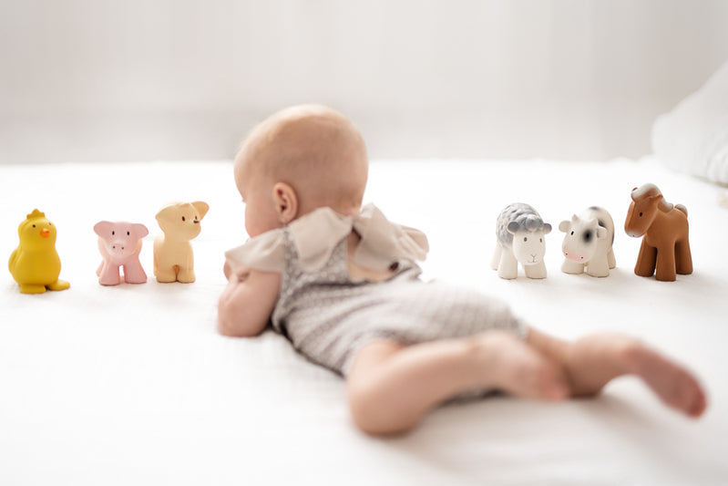 Tikiri Rattle Teether Bath Toy - Puppy