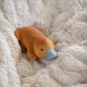 Tikiri Rattle Teether Bath Toy - Platypus
