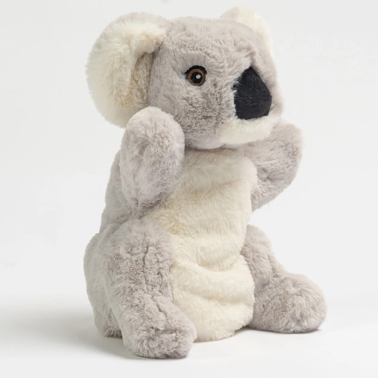 Plush toy koala on a white background