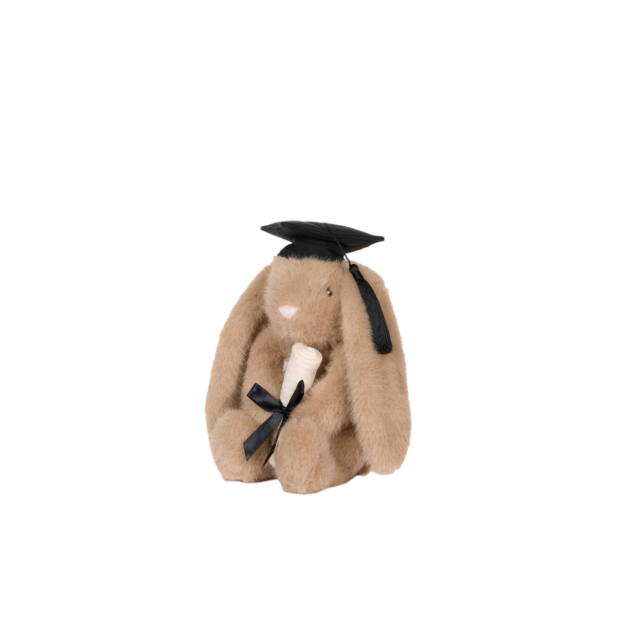HOLLY AND IVY | JASPER BUNNY | GRADUATION