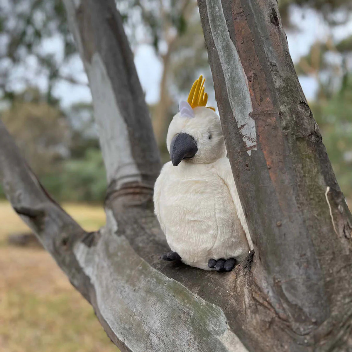 Cockatoo Plush Soft Toy