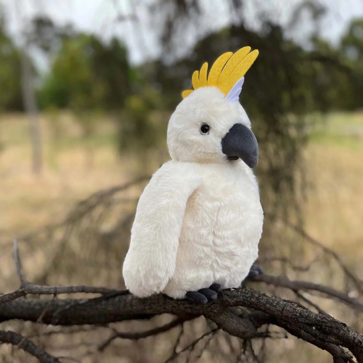 soft toy cockatoo - angus and dudley