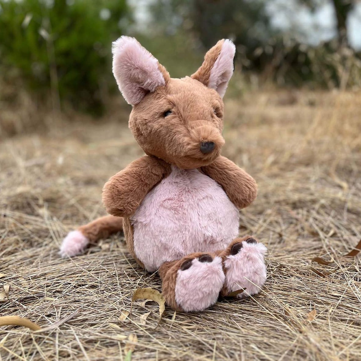 soft toy kangaroo - angus and dudley