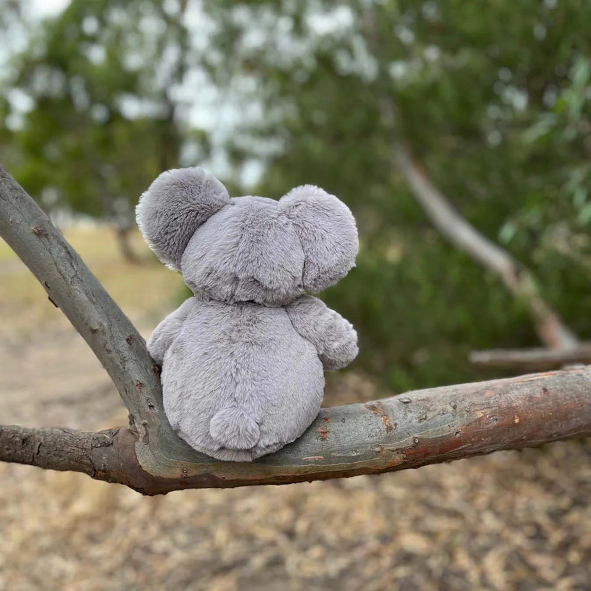 plush koala - angus and dudley